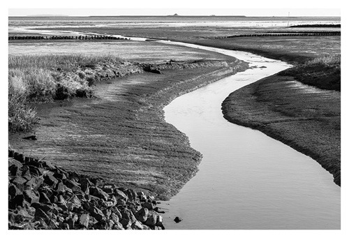 Halligen | Hallig Oland